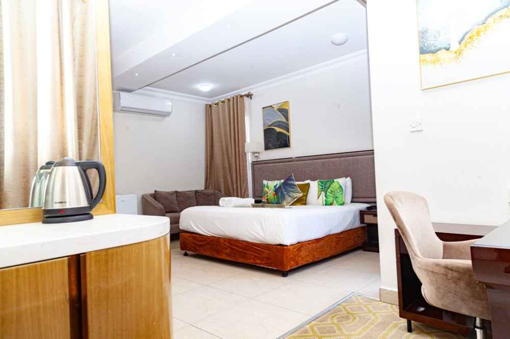 Cycad palms product image