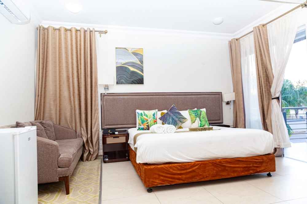 Cycad palms product image